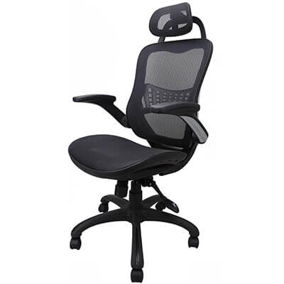 Ergousit Ergonomic Office Chair