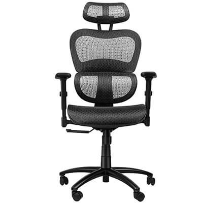 Ergousit Ergonomic Office Desk Chair