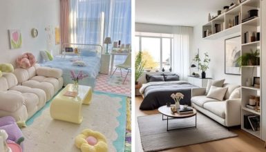 Living Room Bedroom Combo Ideas