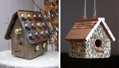 Unique Bird House Ideas