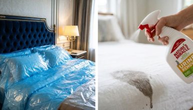 how to keep cat from peeing on bed