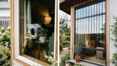 keep birds from hitting windows