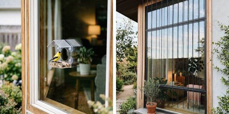 keep birds from hitting windows